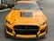 2022 Ford Mustang Shelby GT500