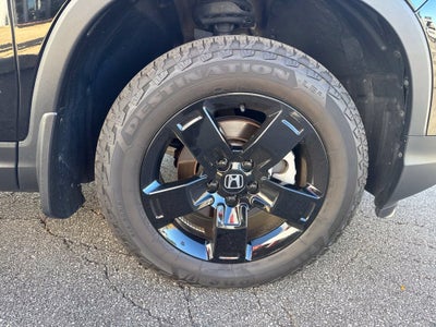 2025 Honda Ridgeline Black Edition