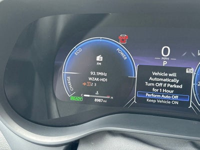 2025 Toyota Sienna Platinum 7 Passenger