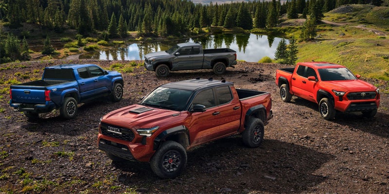 The many trim levels showcased in the 2024 Toyota Tacoma in Akron, OH