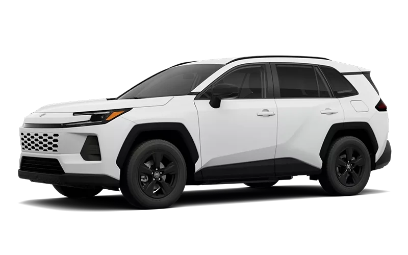 RAV4 LE Ice Cap