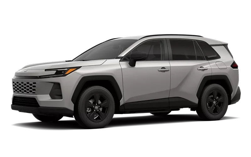 RAV4 LE Meteor Shower
