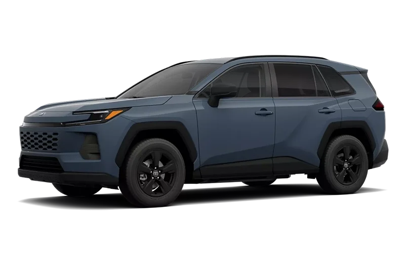 RAV4 LE Storm Cloud