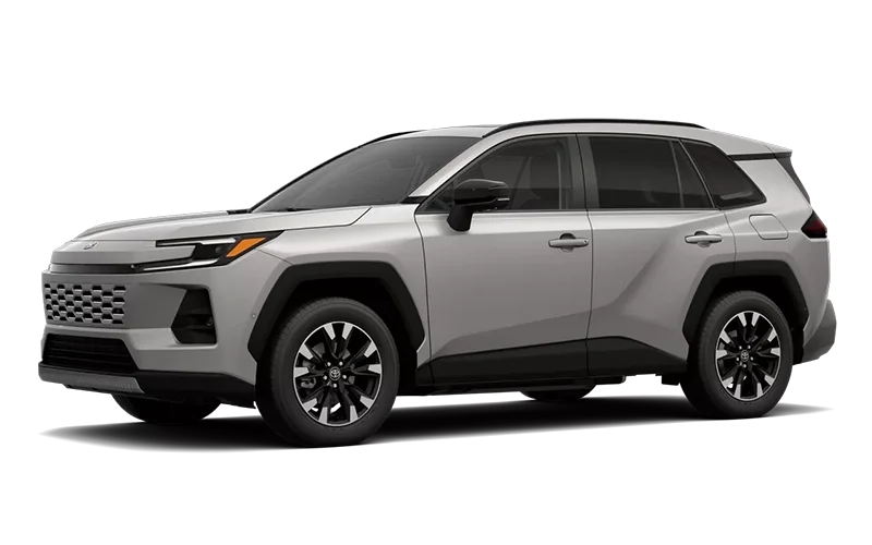 RAV4 Limited Meteor Shower