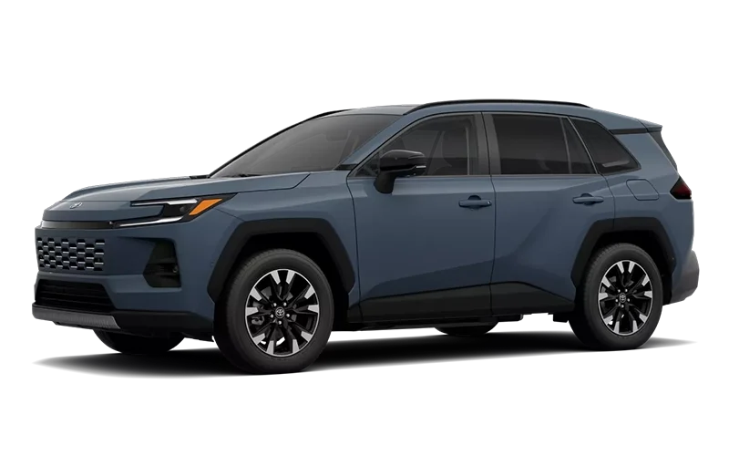 RAV4 Limited Storm Cloud