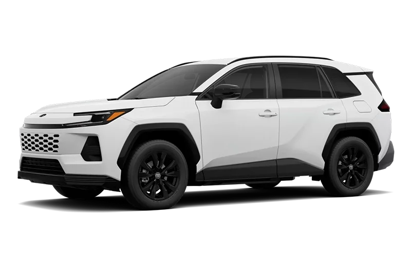 RAV4 SE Ice Cap