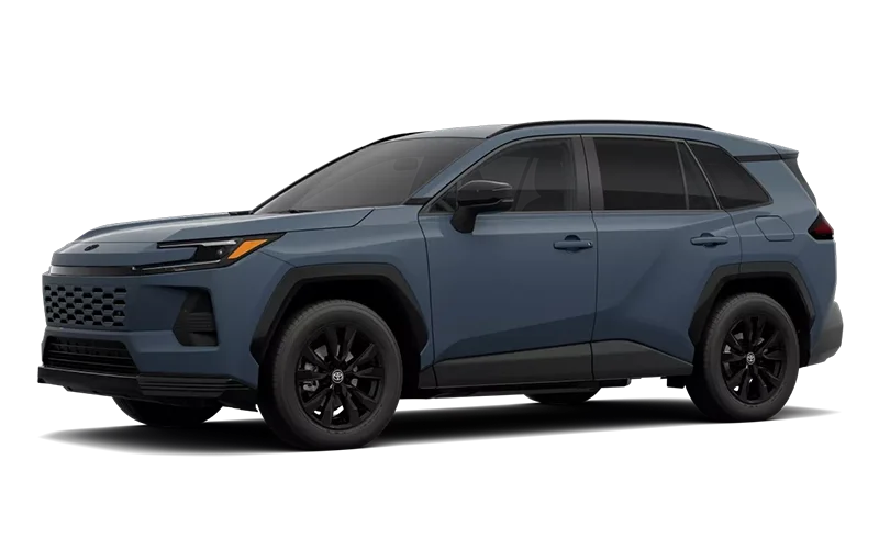 RAV4 SE Storm Cloud