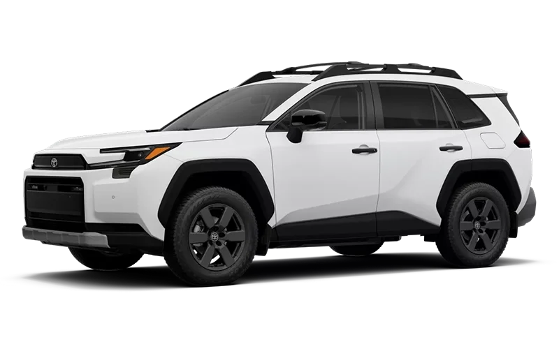 RAV4 Woodland Ice Cap