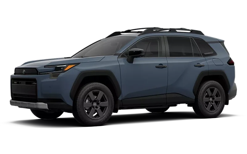 RAV4 Woodland Storm Cloud
