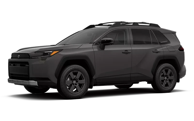 RAV4 Woodland Urban Rock