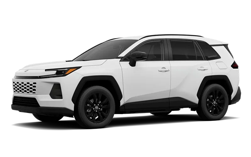 RAV4 XLE Premium Ice Cap