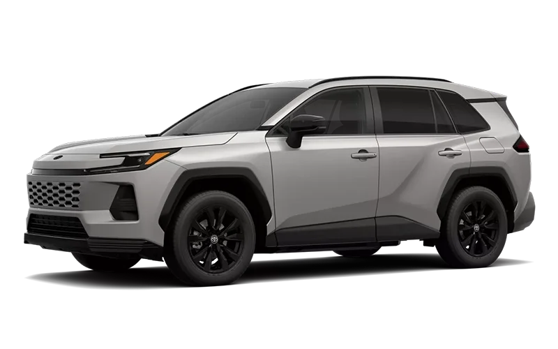 RAV4 XLE Premium Meteor Shower
