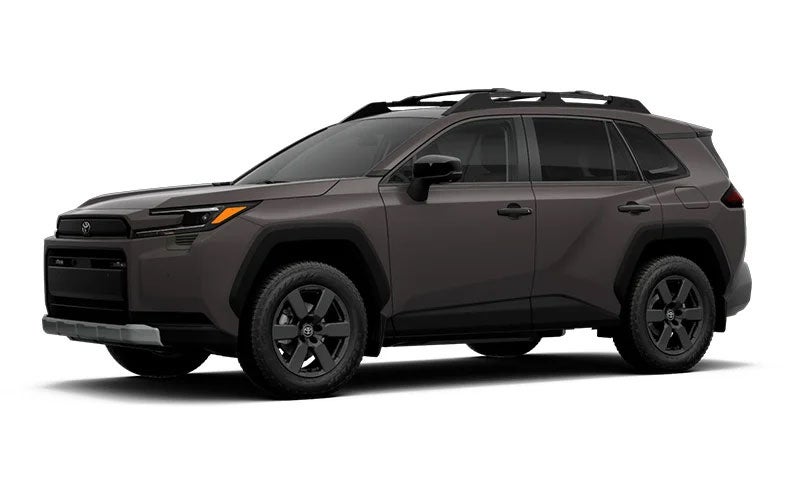 Toyota RAV4 Woodland